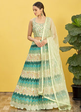 Embroidered Chinnon Lehenga in Green